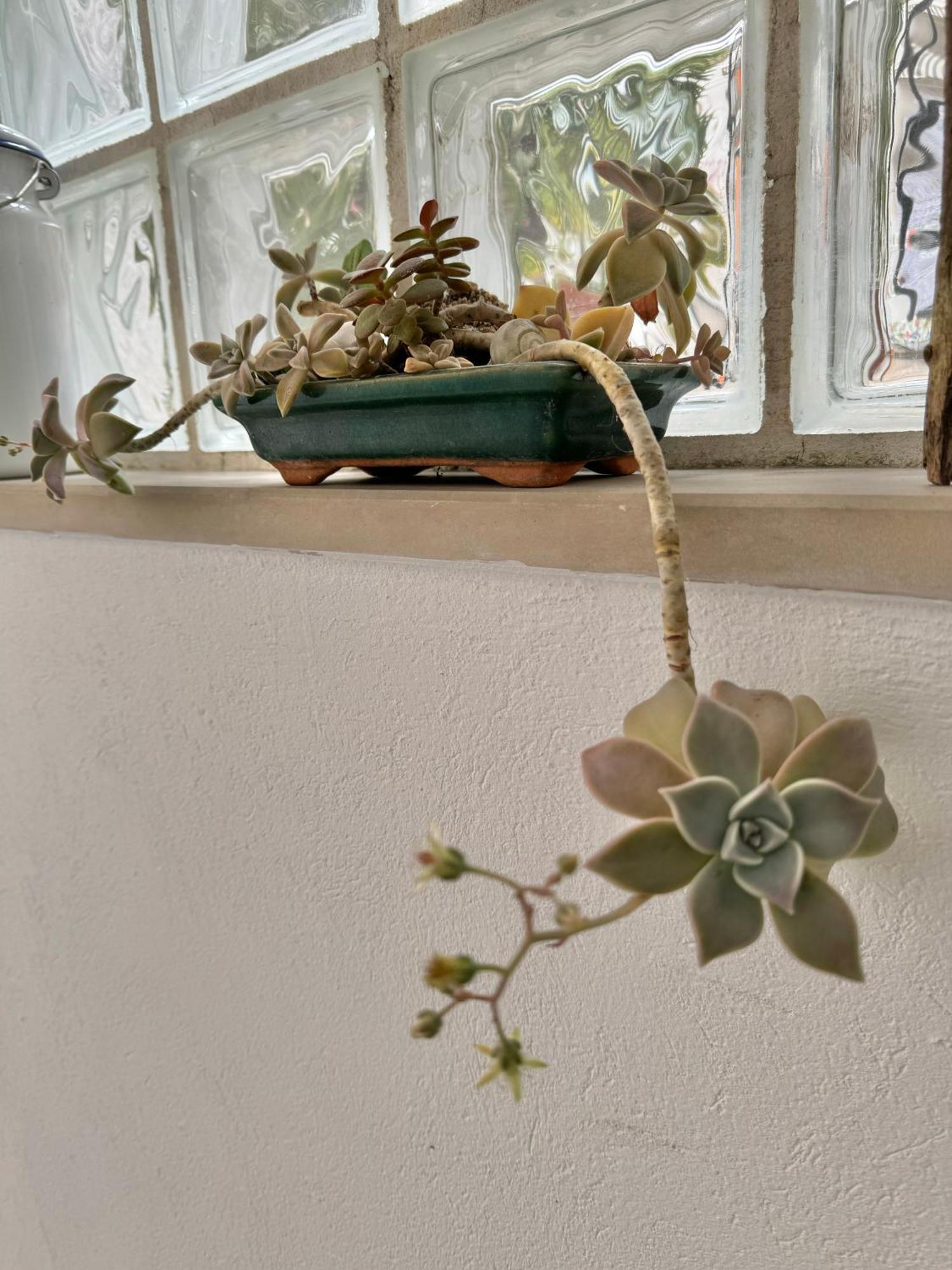 Cozy Holiday Apartment 伊佐拉 外观 照片